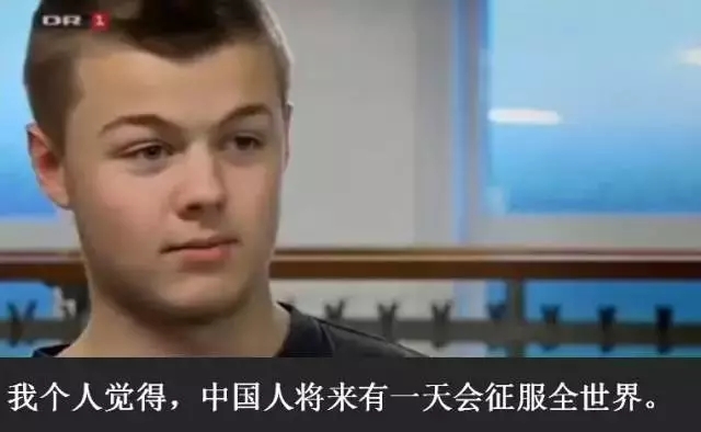 杨东平讲丹麦教育,杨东平权威吗