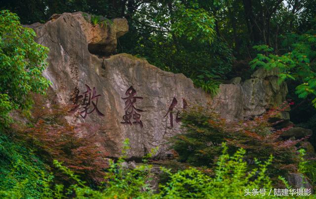 粽情端午南通,粽情端午邻里相约