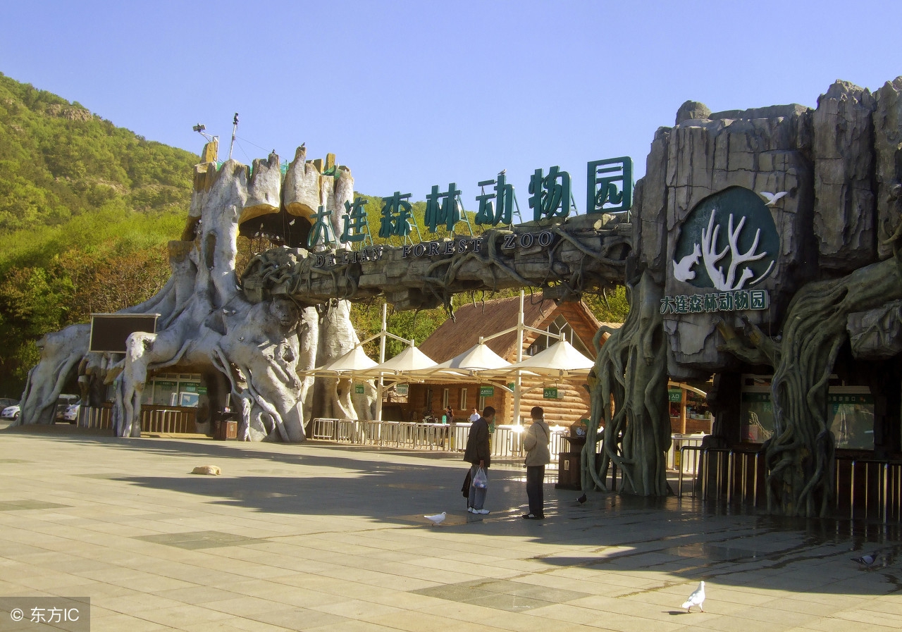 大连端午节有什么大型活动,大连端午节去哪玩2020年