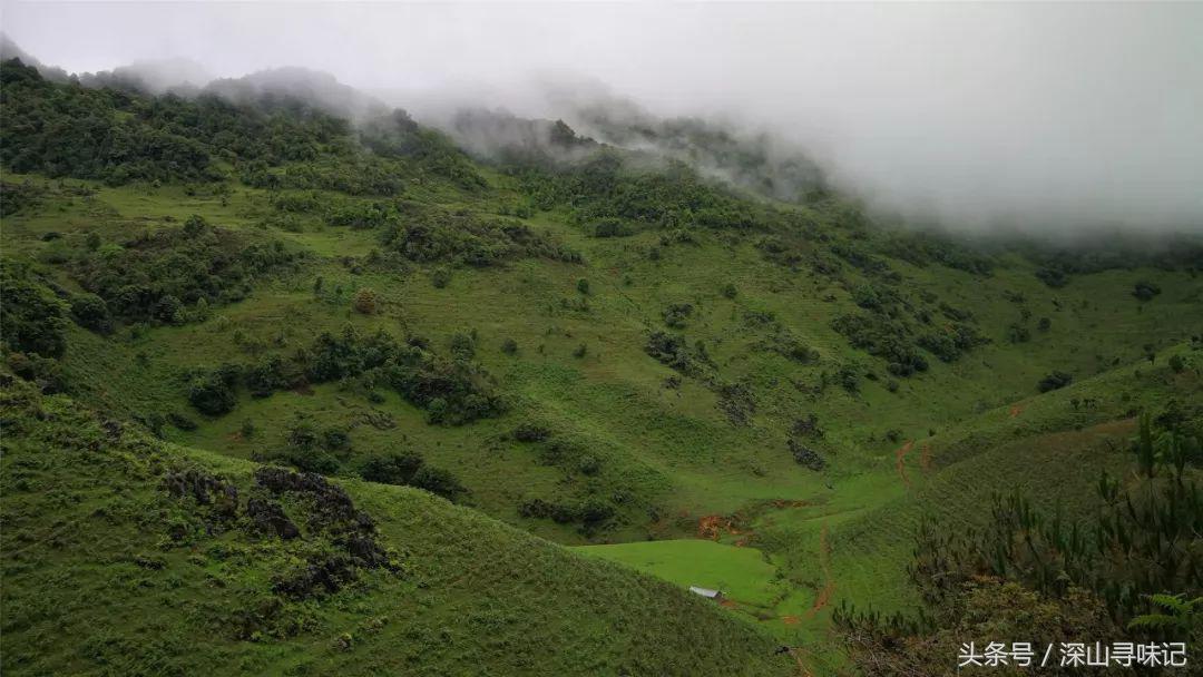 深山寻味｜远赴镇康，遇见一个不一样的木场乡