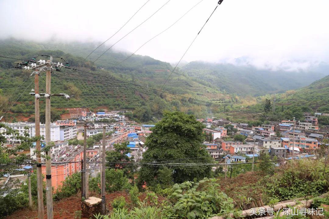 深山寻味｜远赴镇康，遇见一个不一样的木场乡