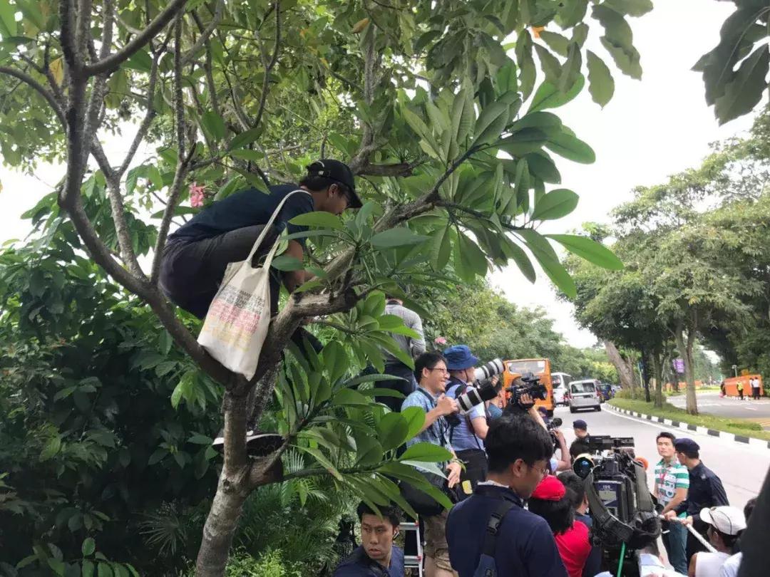 特朗普与金正恩这一“握手”，历史等了65年｜新京报快评