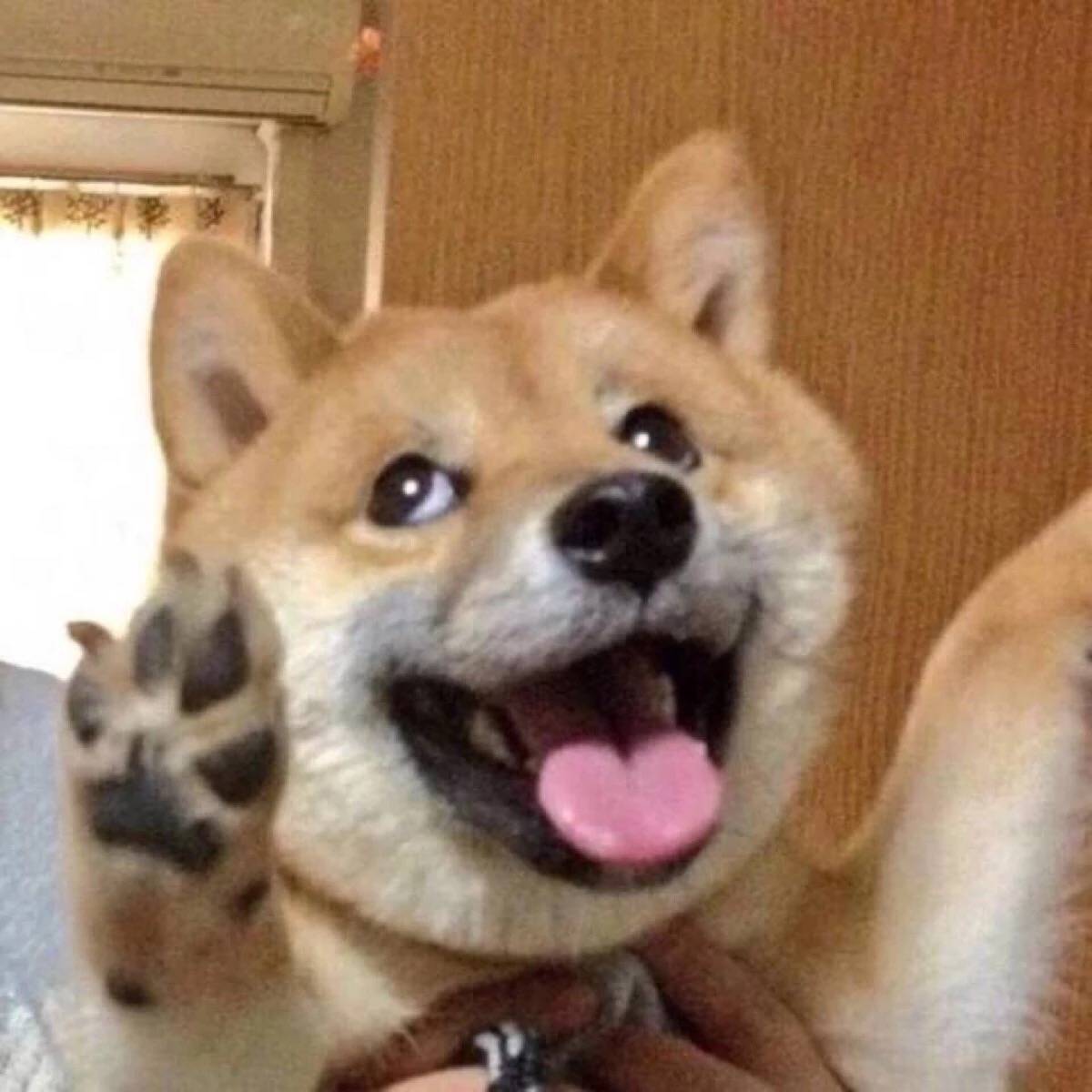 金泰妍专辑销量排行榜2021,金泰妍solo出道曲成绩