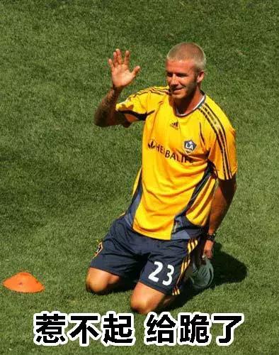 三狮和三猫谁厉害,英格兰足球三狮军团三喵