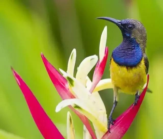 男女之间幽默搞笑顺口溜,男女之间的关系顺口溜