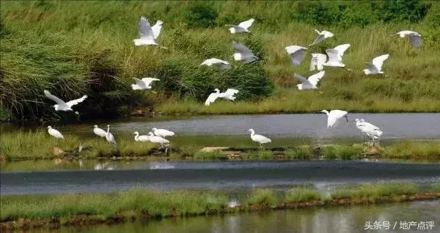 南京大爆发,大爆发攻略