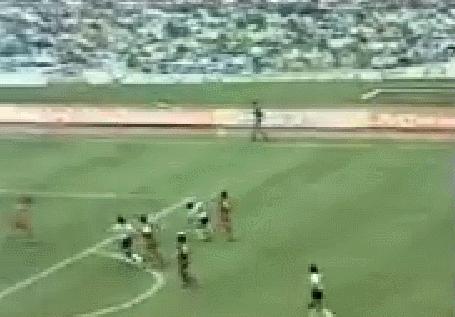 世界杯一百零八将,世界杯100大进球马拉多纳