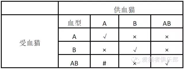 猫的血型，你又知多少？