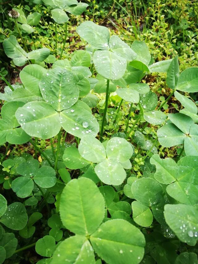 盐工是在亭湖区吗,盐工属于什么工作