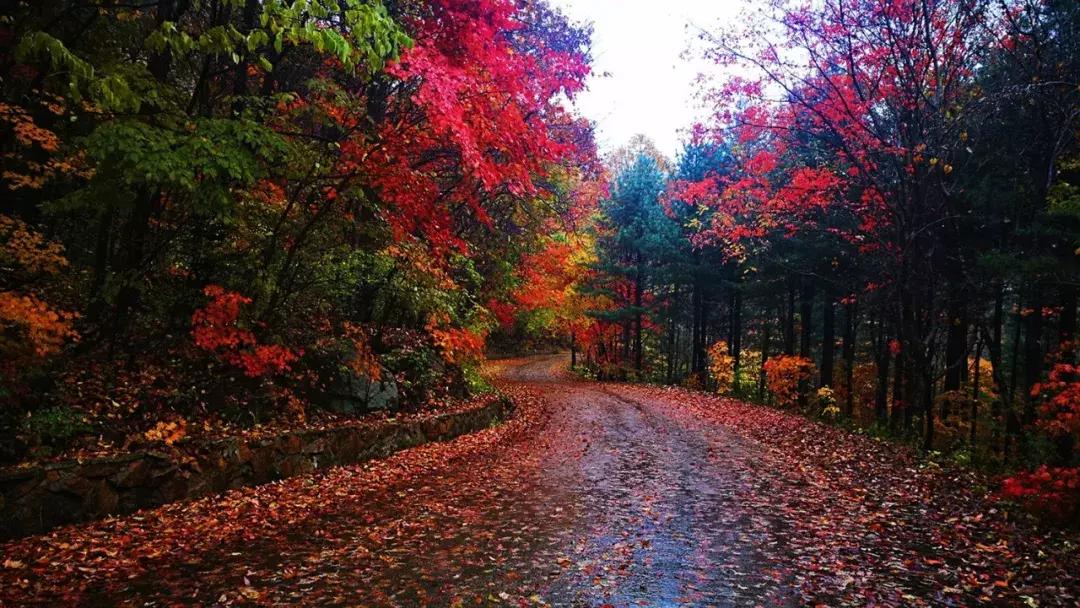 天桥峪景区网红玻璃桥,天桥沟玻璃桥一日游