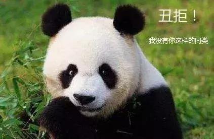 熊猫眼黑眼圈怎么去除最简单方法,祛黑眼圈