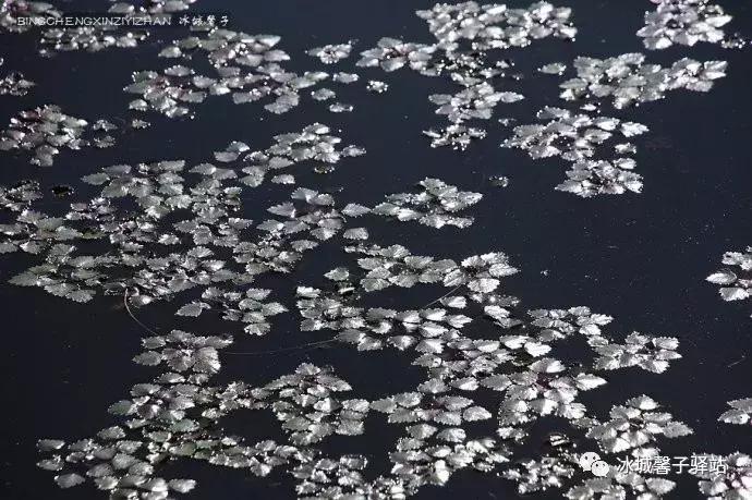 有一处叫世外桃源的地方,有一个地方是世外桃源