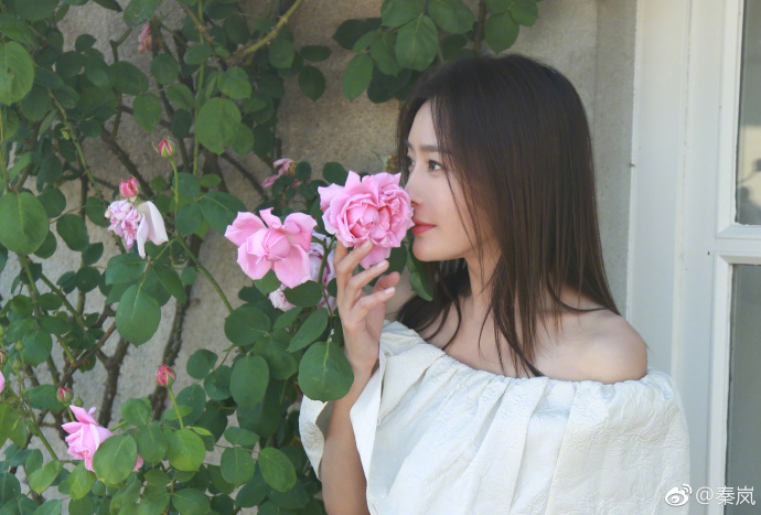 秦岚承认整容过吗,秦岚整容成功了么