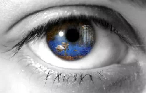 人体毛发可以剃掉吗,人体各处的毛发有什么用处