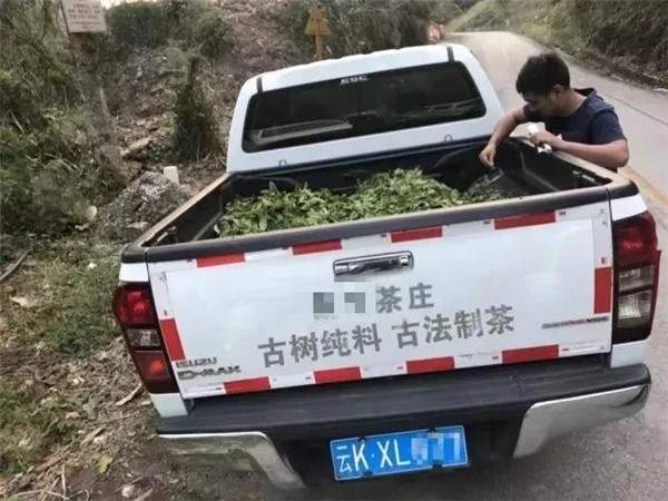 十大骗人茶叶案 (高价卖茶骗局被揭开)
