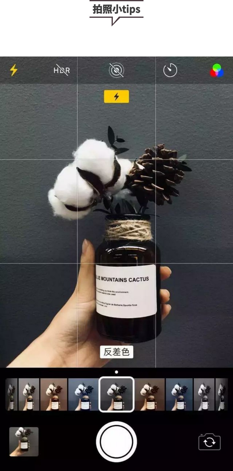 为什么你还不是网红？因为你不会拍照啊！