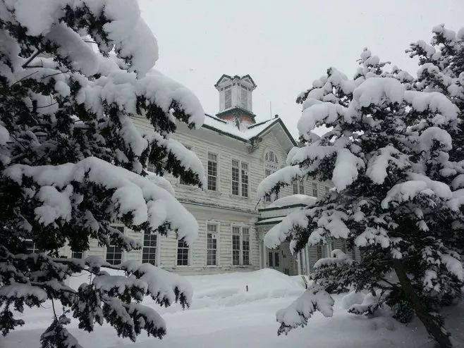 日本北海道大学是什么档次,北海道大学世界排名