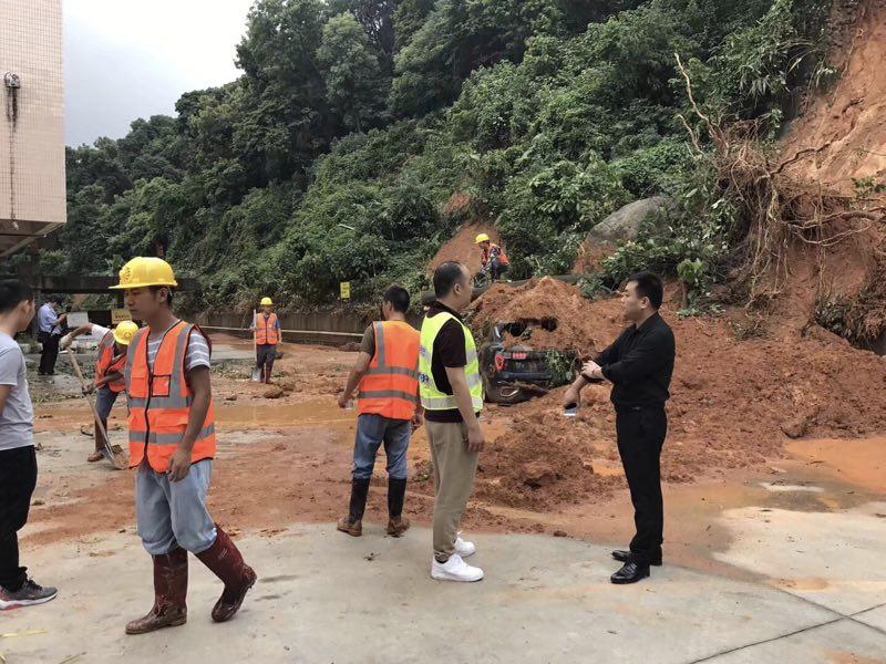 2023领克01主动安全功能测评,领克01高强度钢材有多少