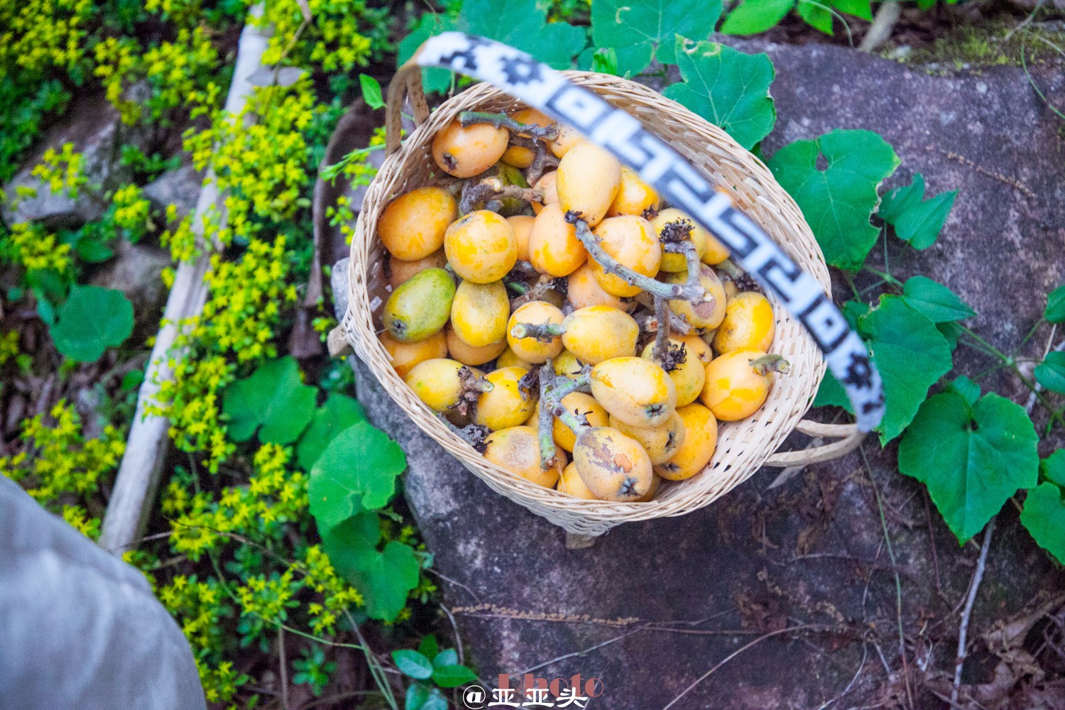到浙里做美梦-梦的终点在临安