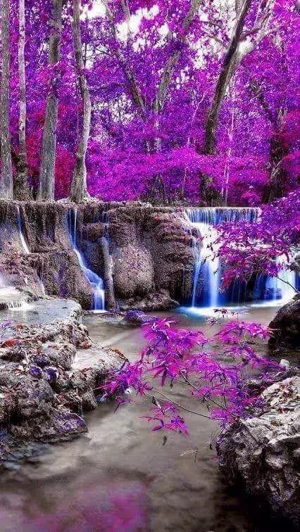 14张会动的照片,会动的照片大全大图