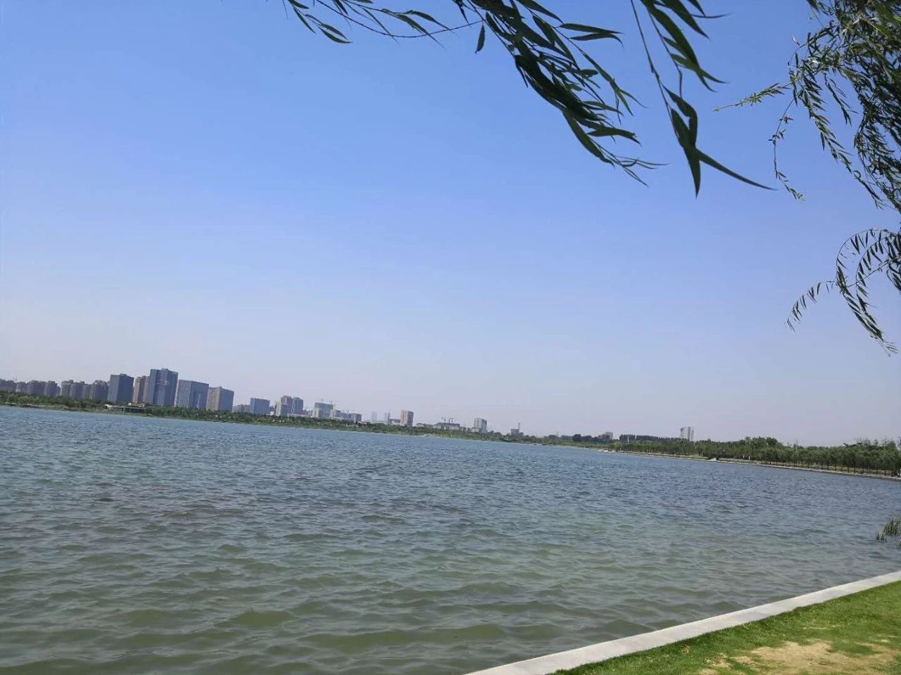 白沙组团最近消息,白沙组团最新消息