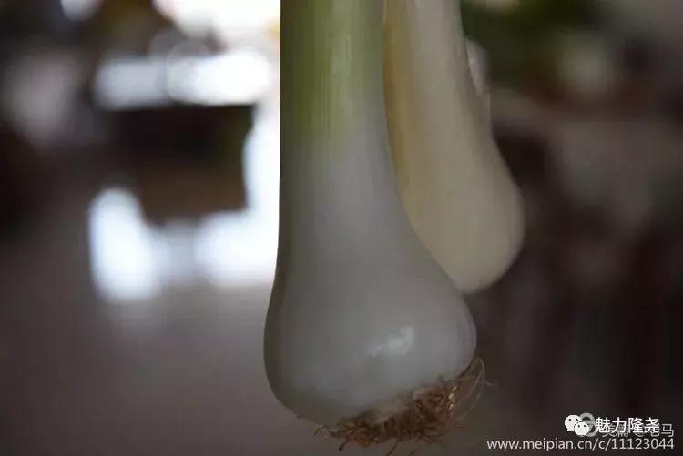 全球李氏祭祖大典隆尧,隆尧李氏恳亲大会直播视频