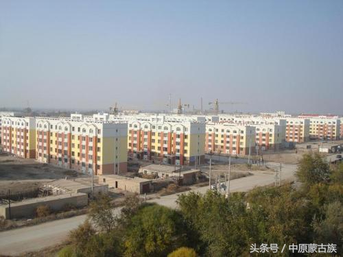 农六师芳草湖农场未来发展规划,新疆农六师芳草湖总场