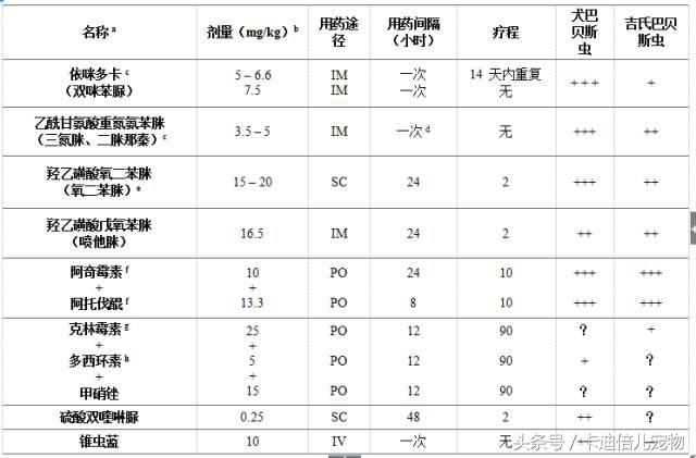 巴贝斯焦虫的终末宿主,巴贝斯焦虫病能扛过去吗