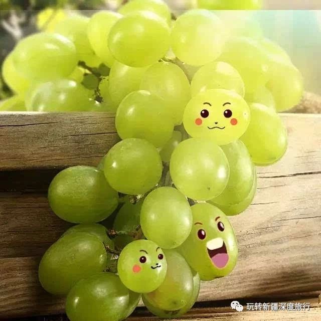 南疆最好吃的瓜果,新疆瓜果什么最好吃又便宜