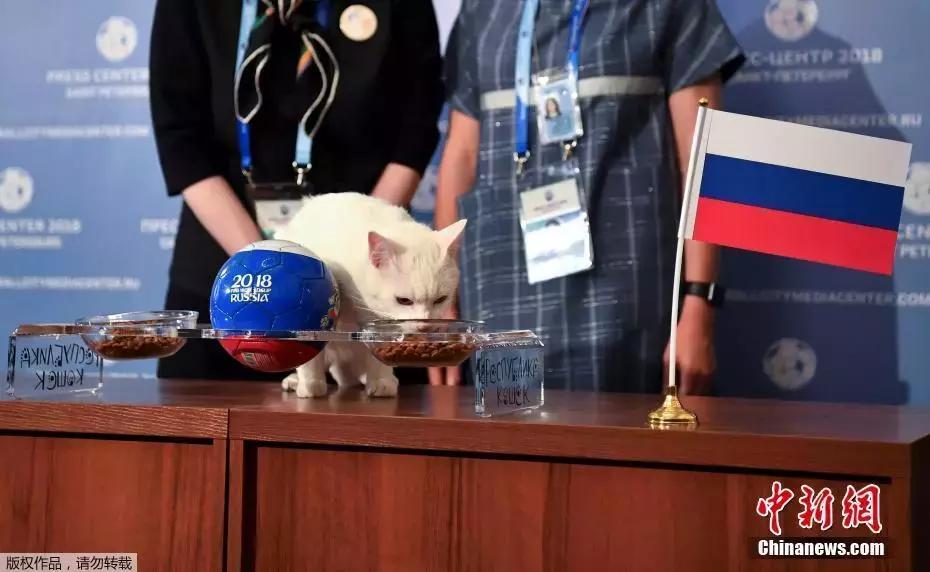 世界杯小知识及观赛指南来啦,世界杯比赛时间表及看点