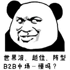 足球游戏世界杯,世界杯足球游戏