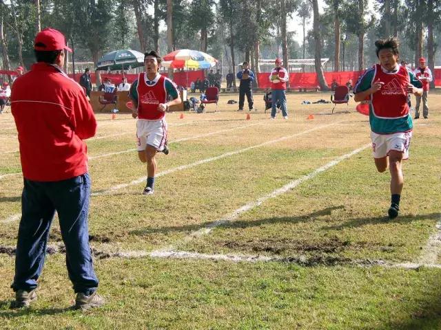 耐力的影响因素有哪些,耐力素质的影响因素