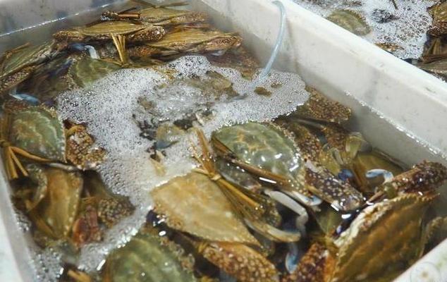 端午节吃什么海鲜比较好,端午海鲜如何选