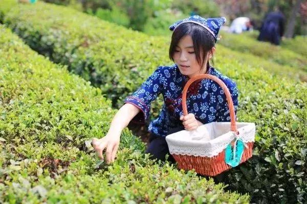 端午假期遇上父亲节,端午节父亲节出游