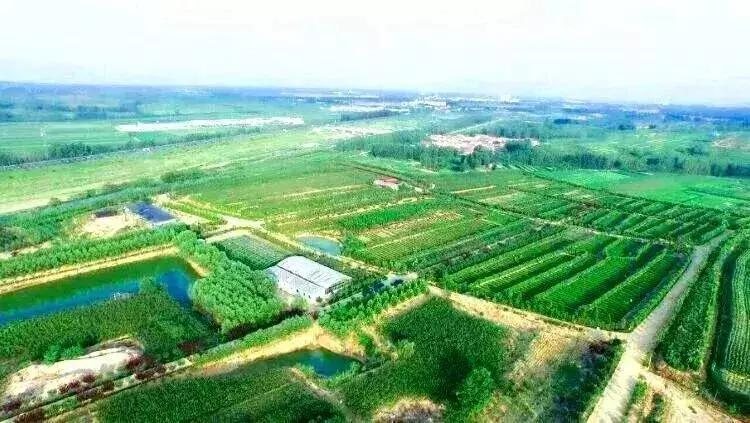 端午假期遇上父亲节,端午节父亲节出游