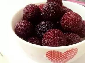 一颗杨梅就有六条蛆,一棵杨梅多年不结果是什么原因