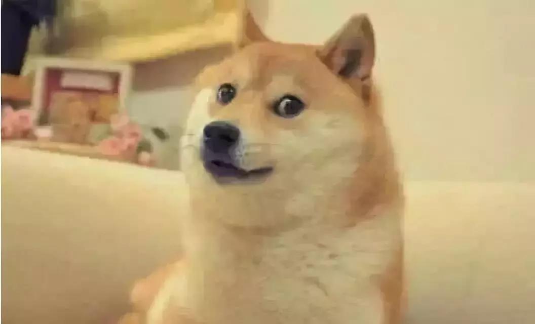 盘点足球场上的那些经典解说,世界杯令人感动的足球解说