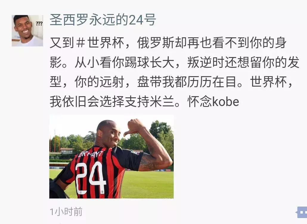 世界杯看球指南全集,球迷必备的世界杯看球指南