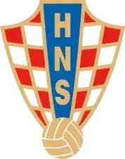 世界杯看球指南全集,球迷必备的世界杯看球指南