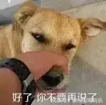 2021柳州在岗月平均收入,2021年柳州平均工资是多少