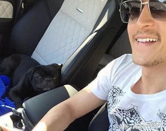 足球吉祥物狗狗盘点,一只狗狗拯救了无数人