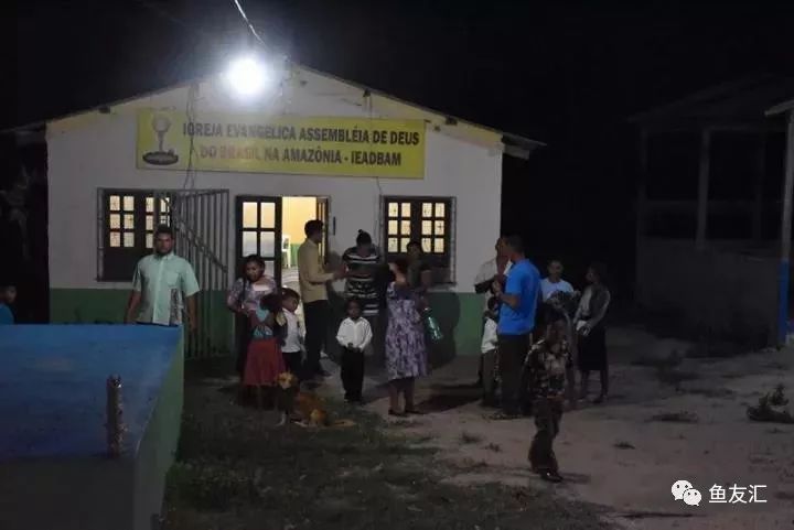 特隆贝塔如何饲养,特隆贝塔半皇与红彩区别