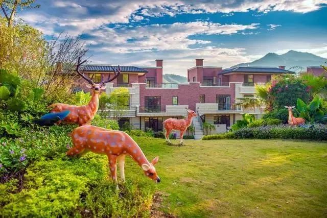 新华社攀枝花,新华社三亚