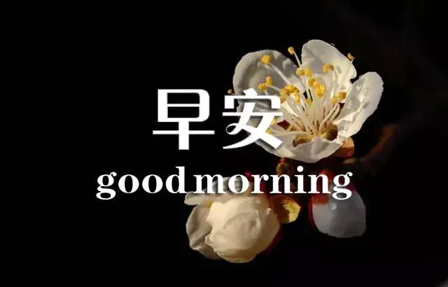 闹钟在吵早安祝福语,闹钟在响喜鹊在叫