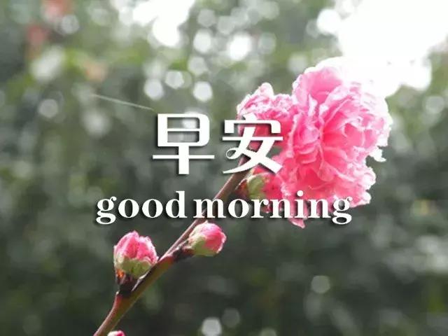 闹钟在吵早安祝福语,闹钟在响喜鹊在叫