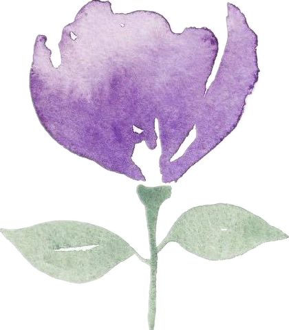 端午时节粽子飘香,端午时节粽香四溢