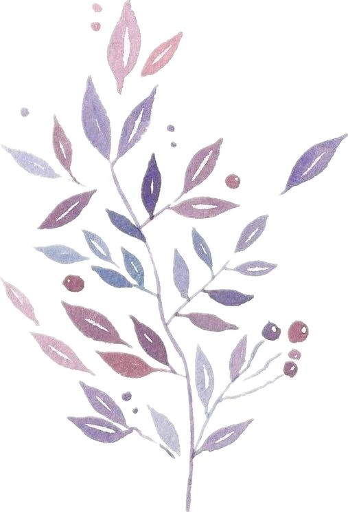 端午时节粽子飘香,端午时节粽香四溢