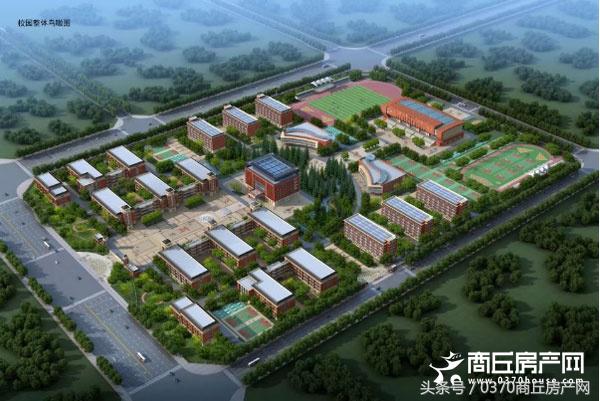 有品牌、有名校，有环境、有支持，这才是最具潜力区域？