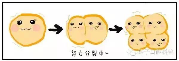 儿童治疗牙齿科普动画,孩子牙齿成长全过程