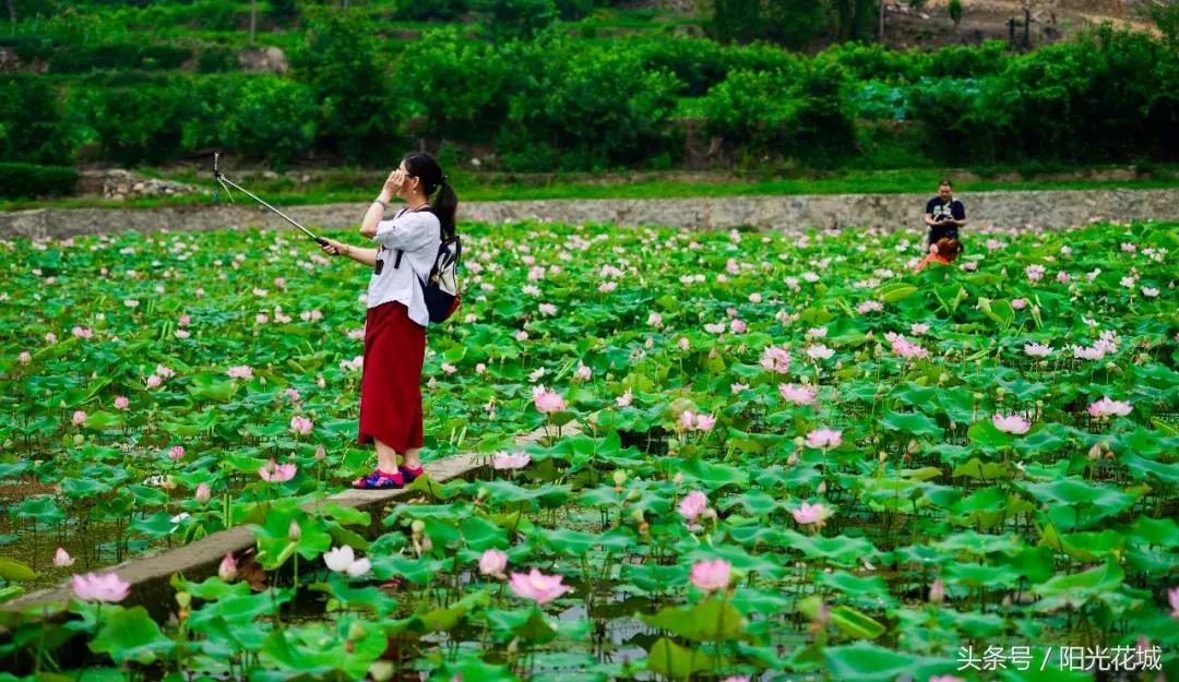 攀枝花周边一日游最佳路线,攀枝花周边有什么好玩的地方